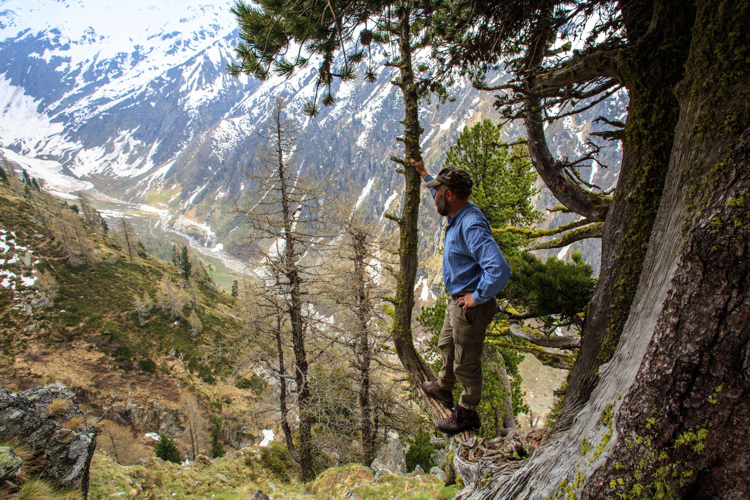 Arven_Natur (10 von 17)