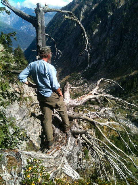 Arven_Natur (13 von 17)