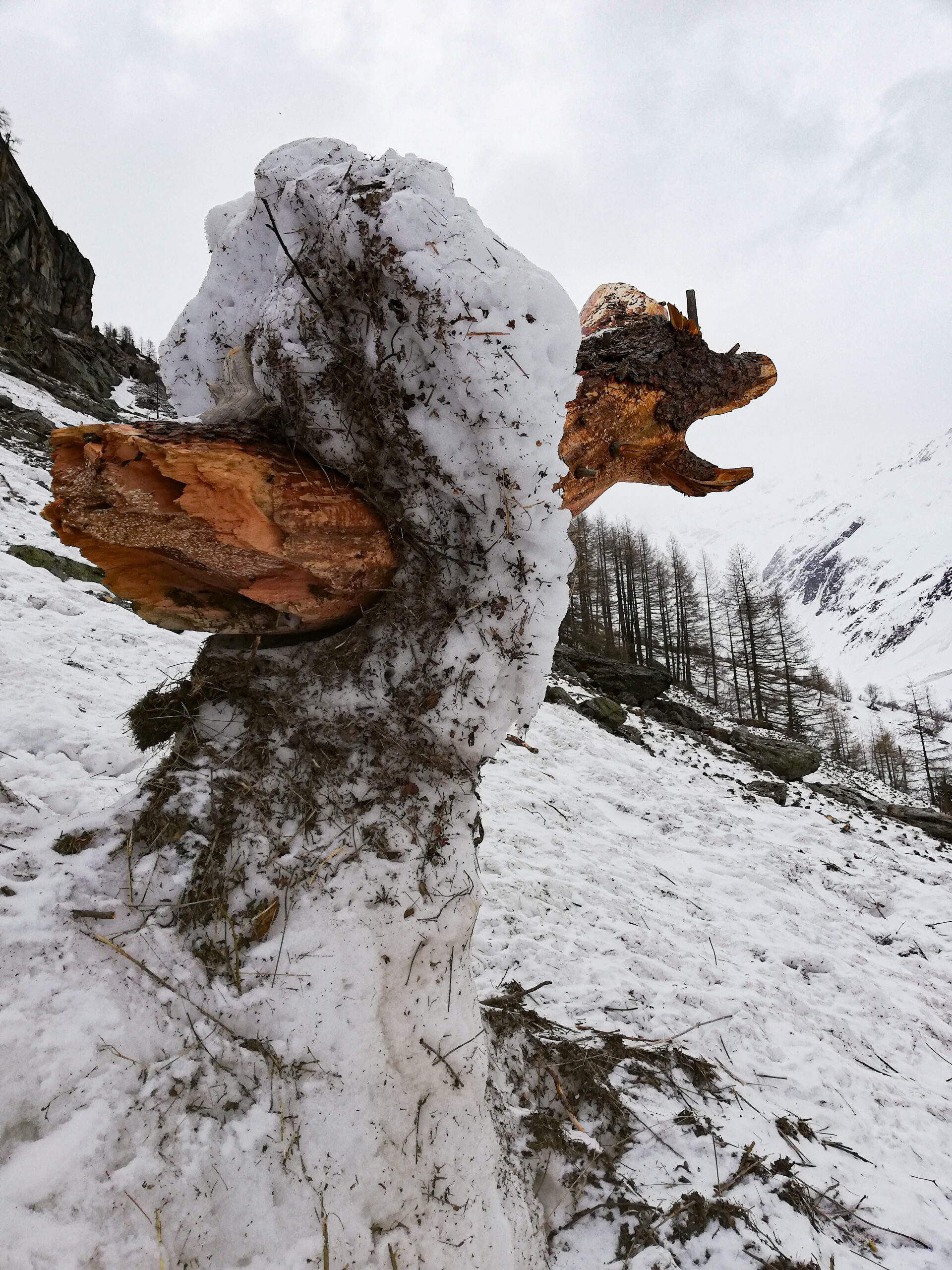 Arven_Natur (14 von 17)