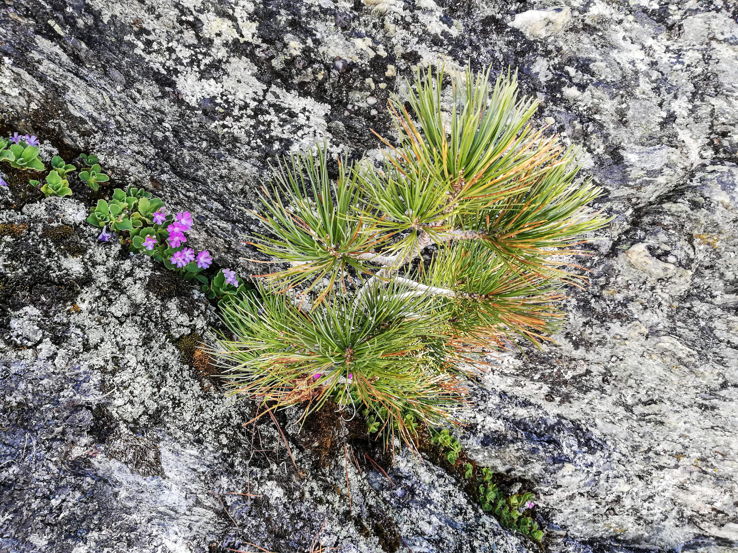 Arven_Natur (15 von 17)