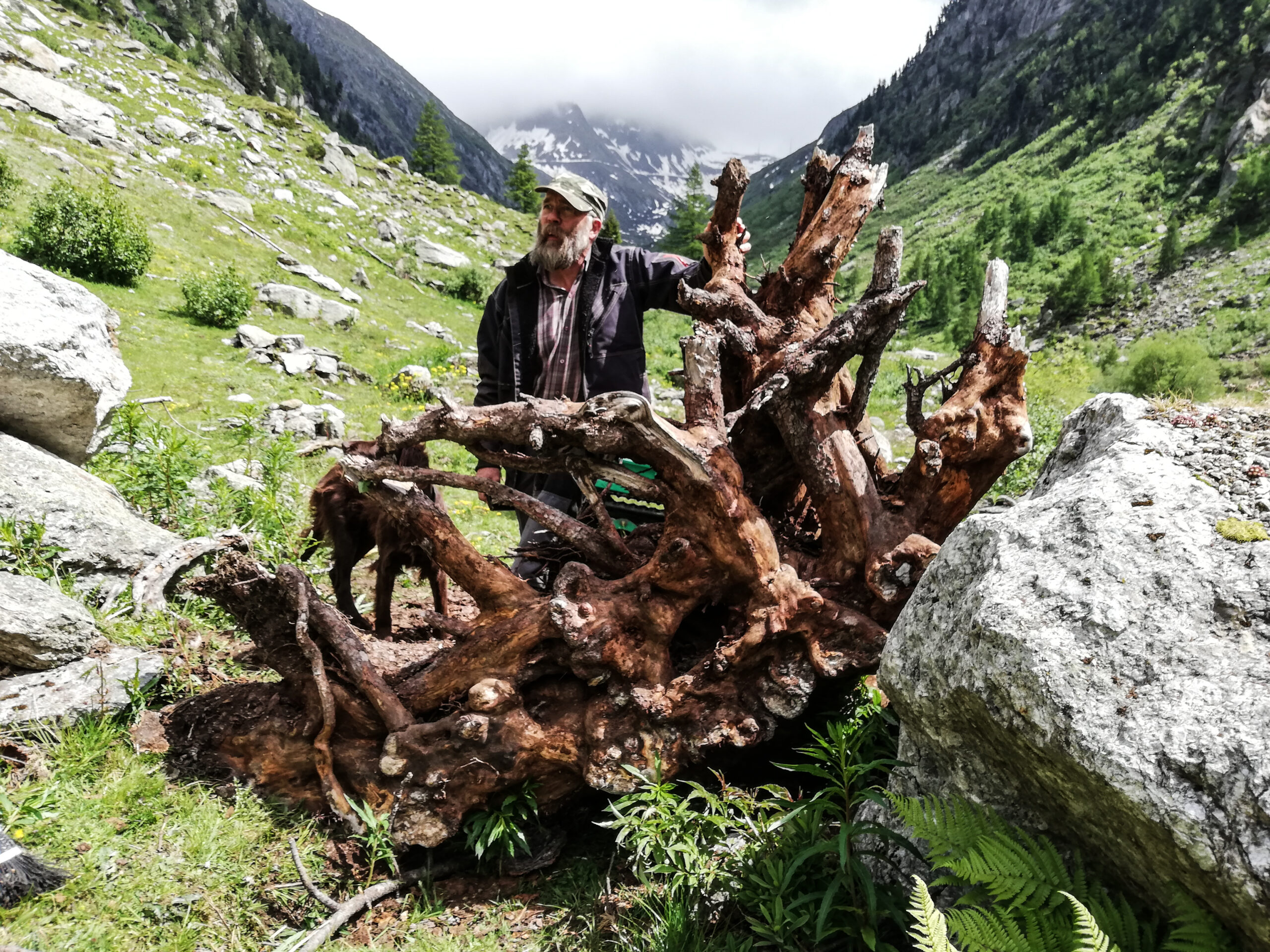 Arven_Natur (16 von 17)