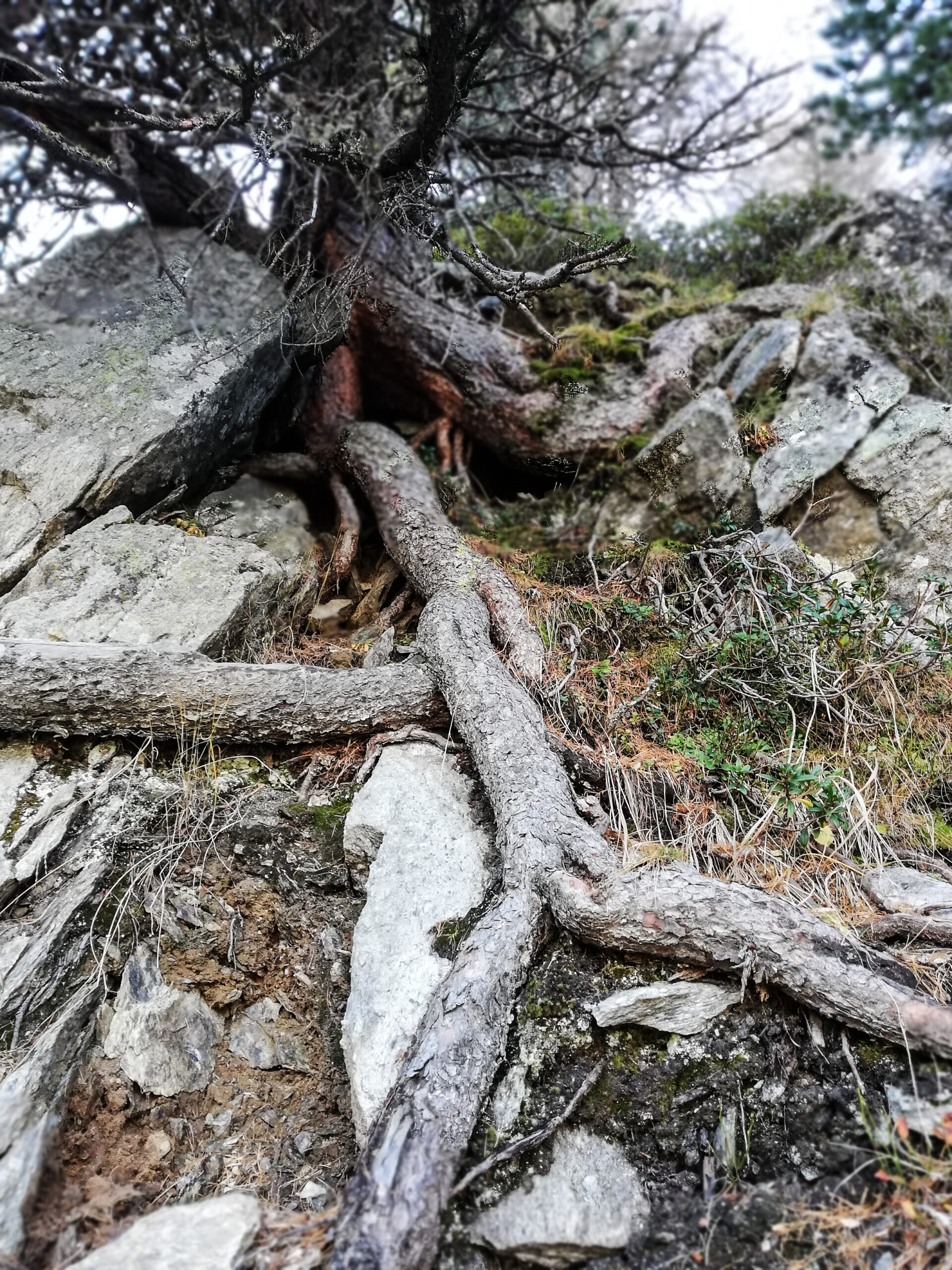 Arven_Natur (17 von 17)