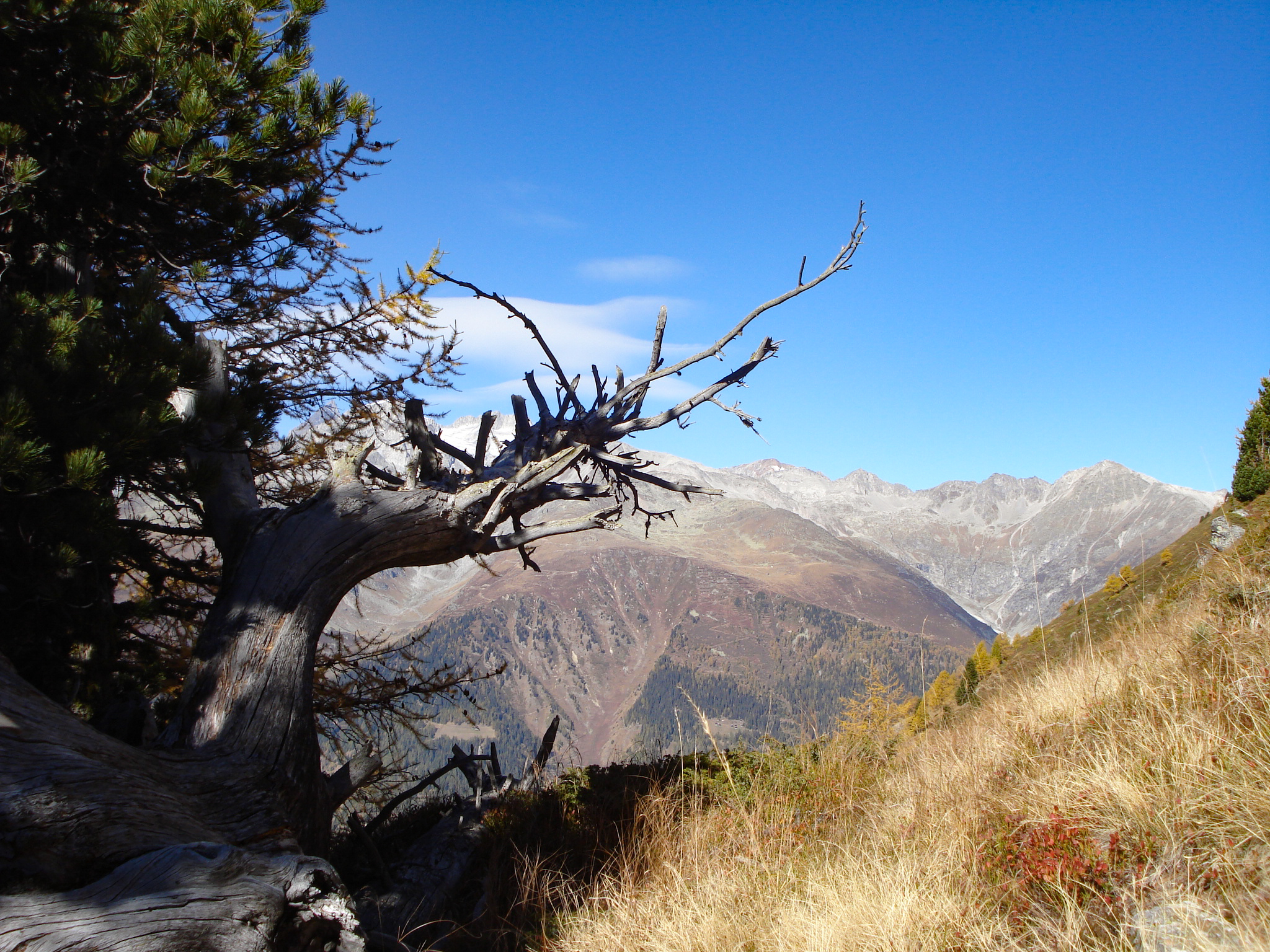 Arven_Natur (2 von 17)