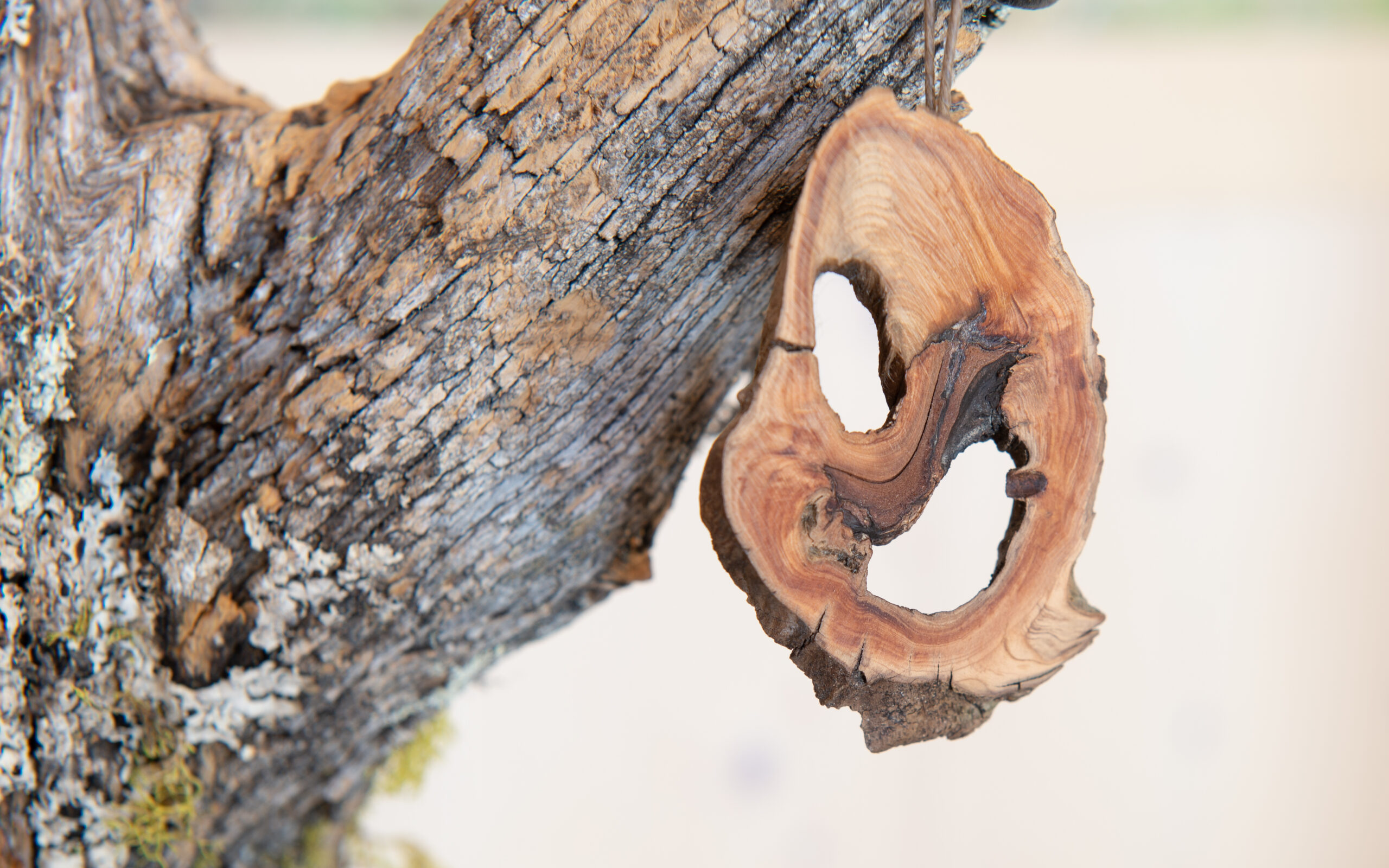 Arven_Natur (22 von 5)