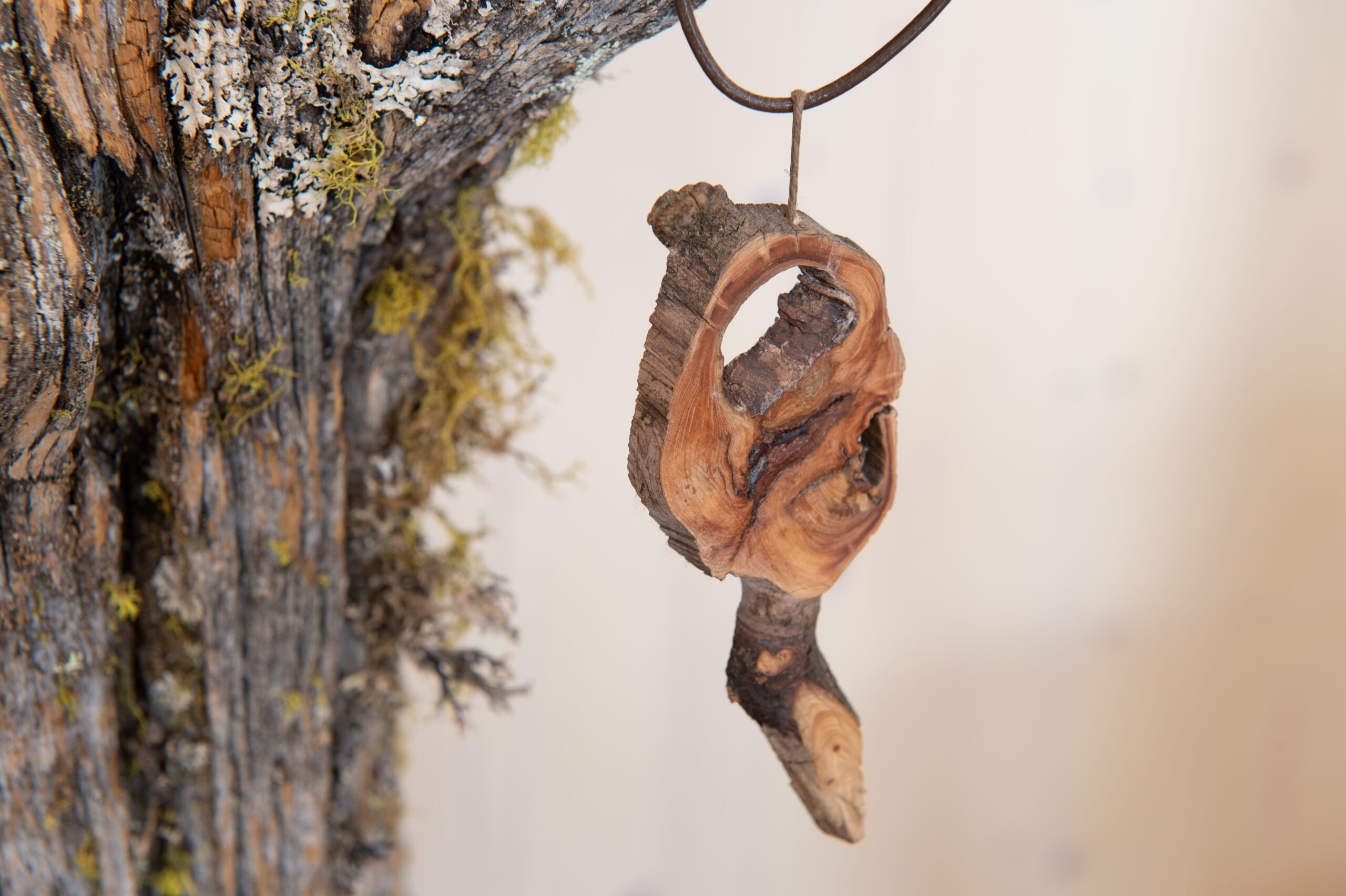 Arven_Natur (23 von 5)