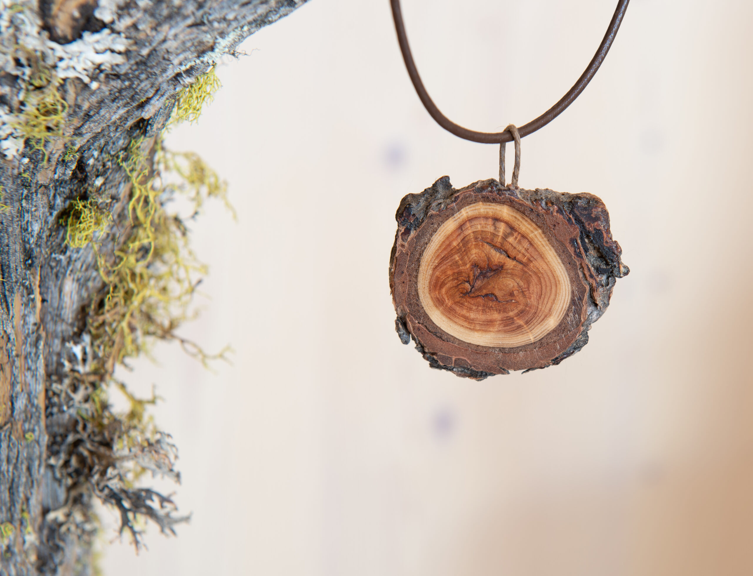 Arven_Natur (24 von 5)