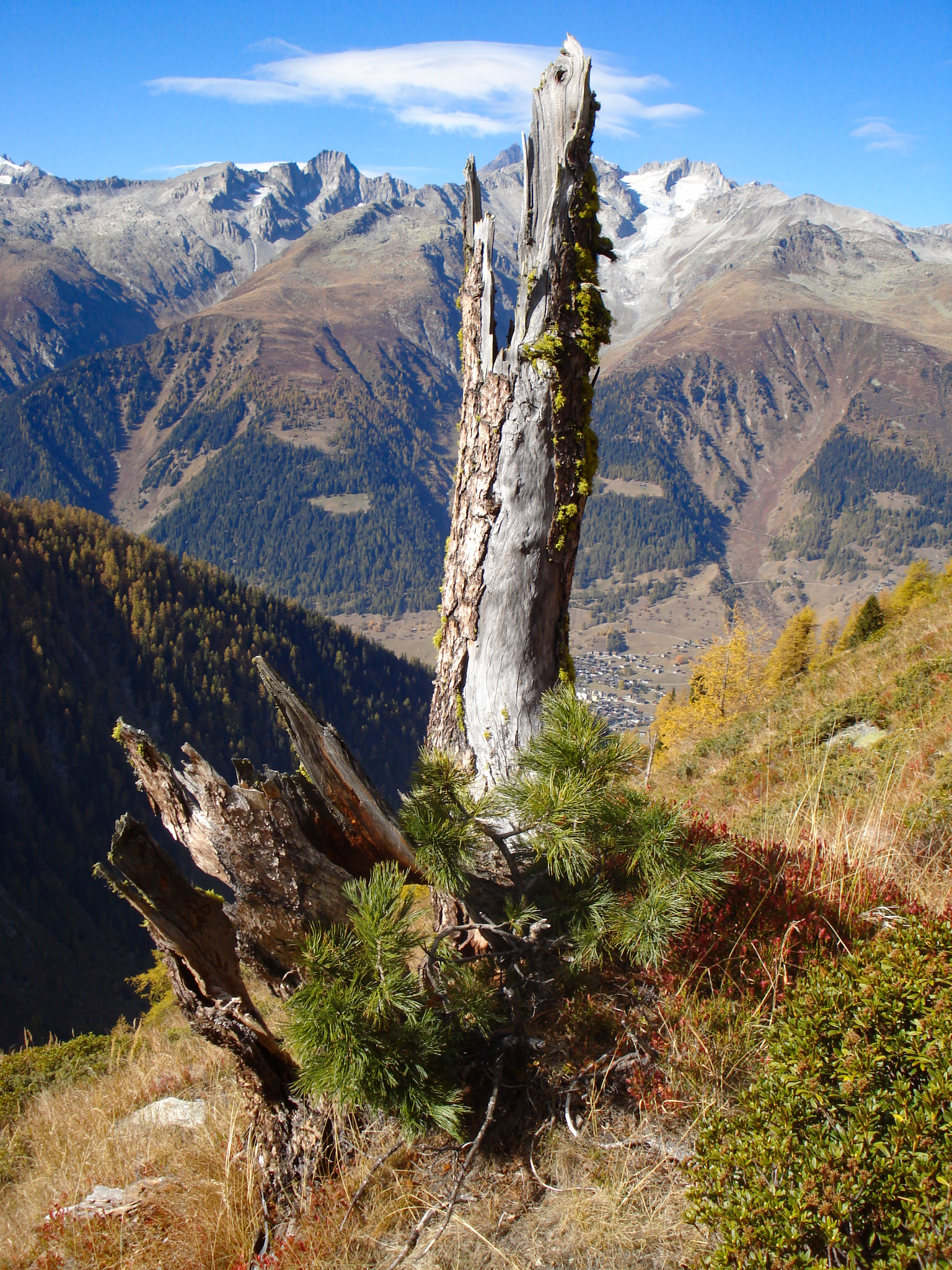 Arven_Natur (3 von 17)