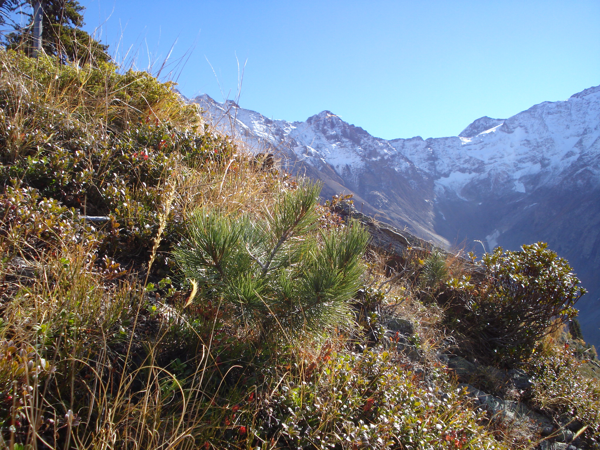 Arven_Natur (4 von 17)