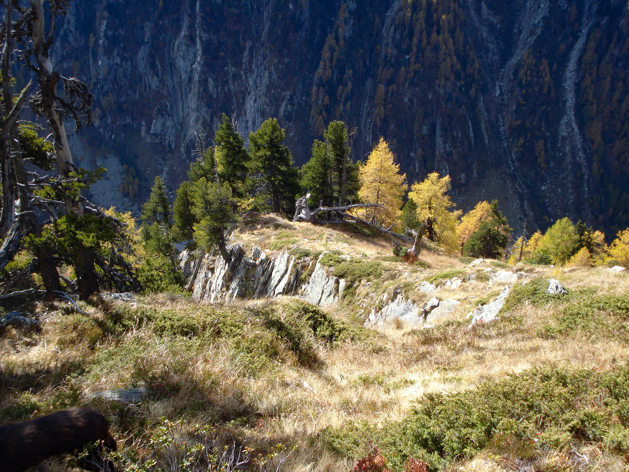 Arven_Natur (5 von 17)