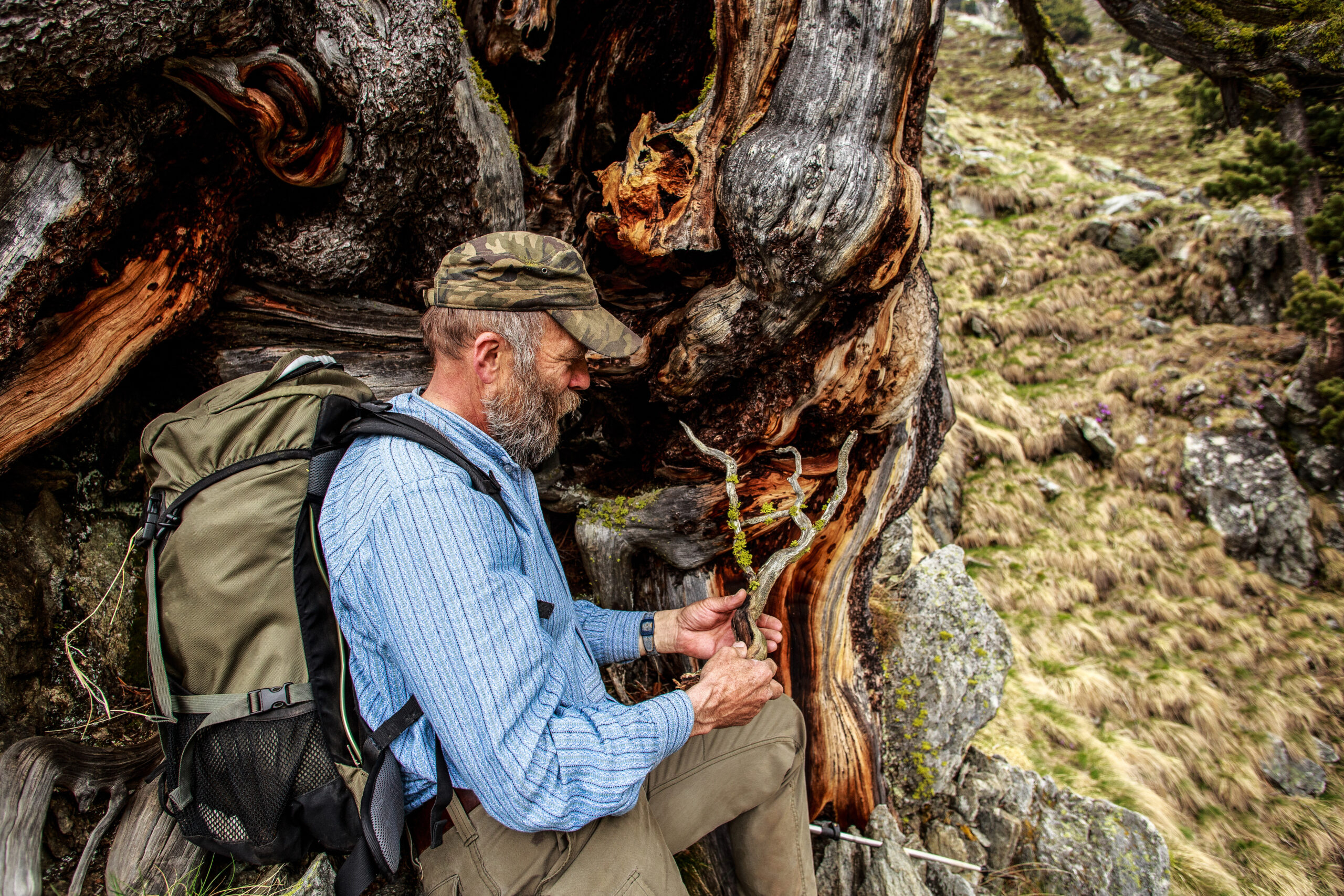 Arven_Natur (8 von 17)