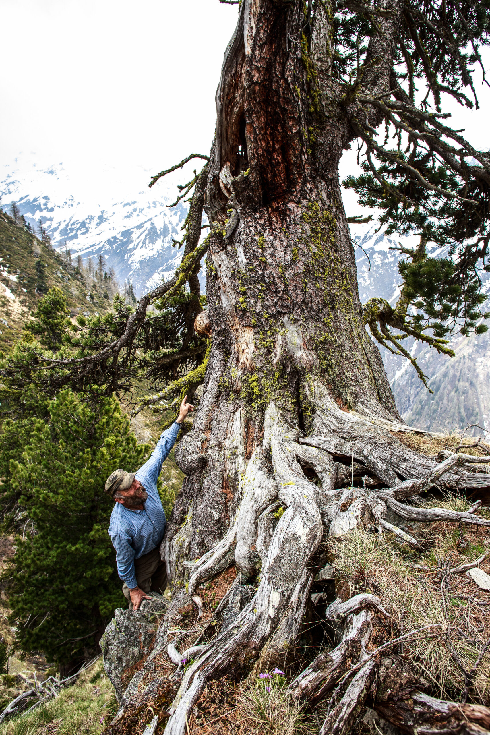 Arven_Natur (9 von 17)