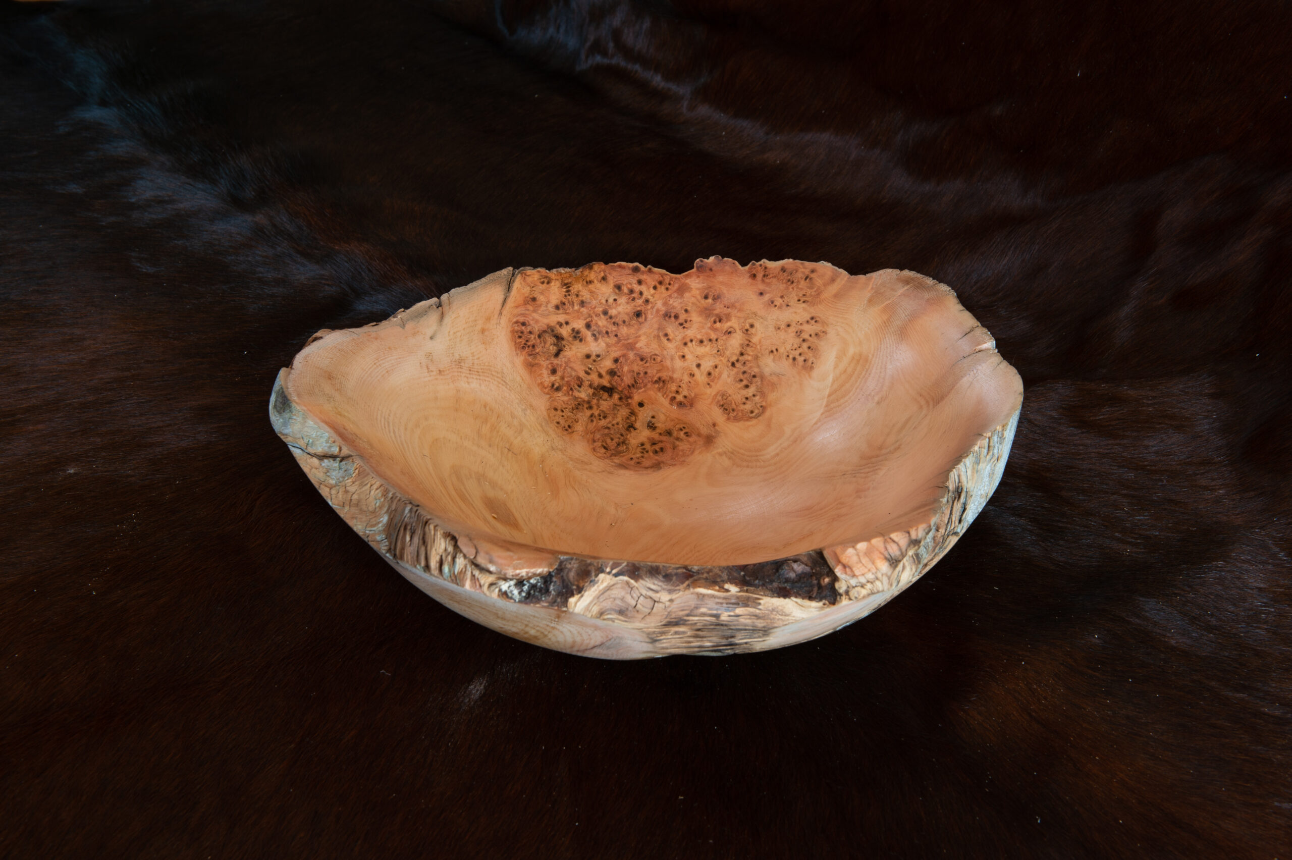 Leos_Werke (11 von 61)