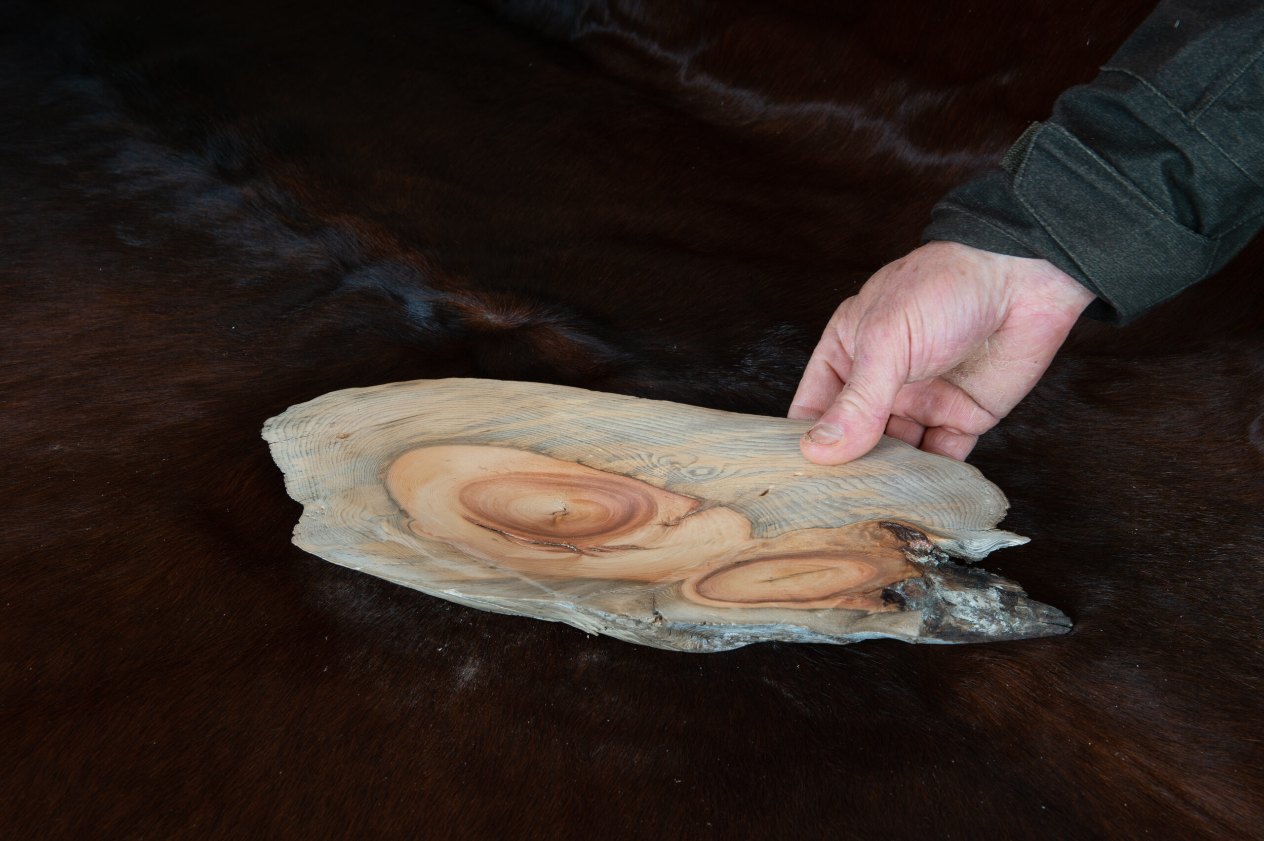 Leos_Werke (12 von 61)