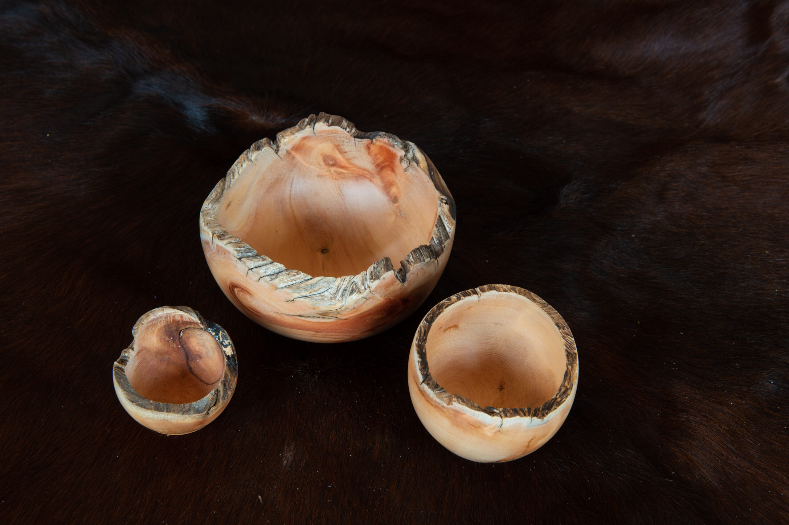 Leos_Werke (14 von 61)