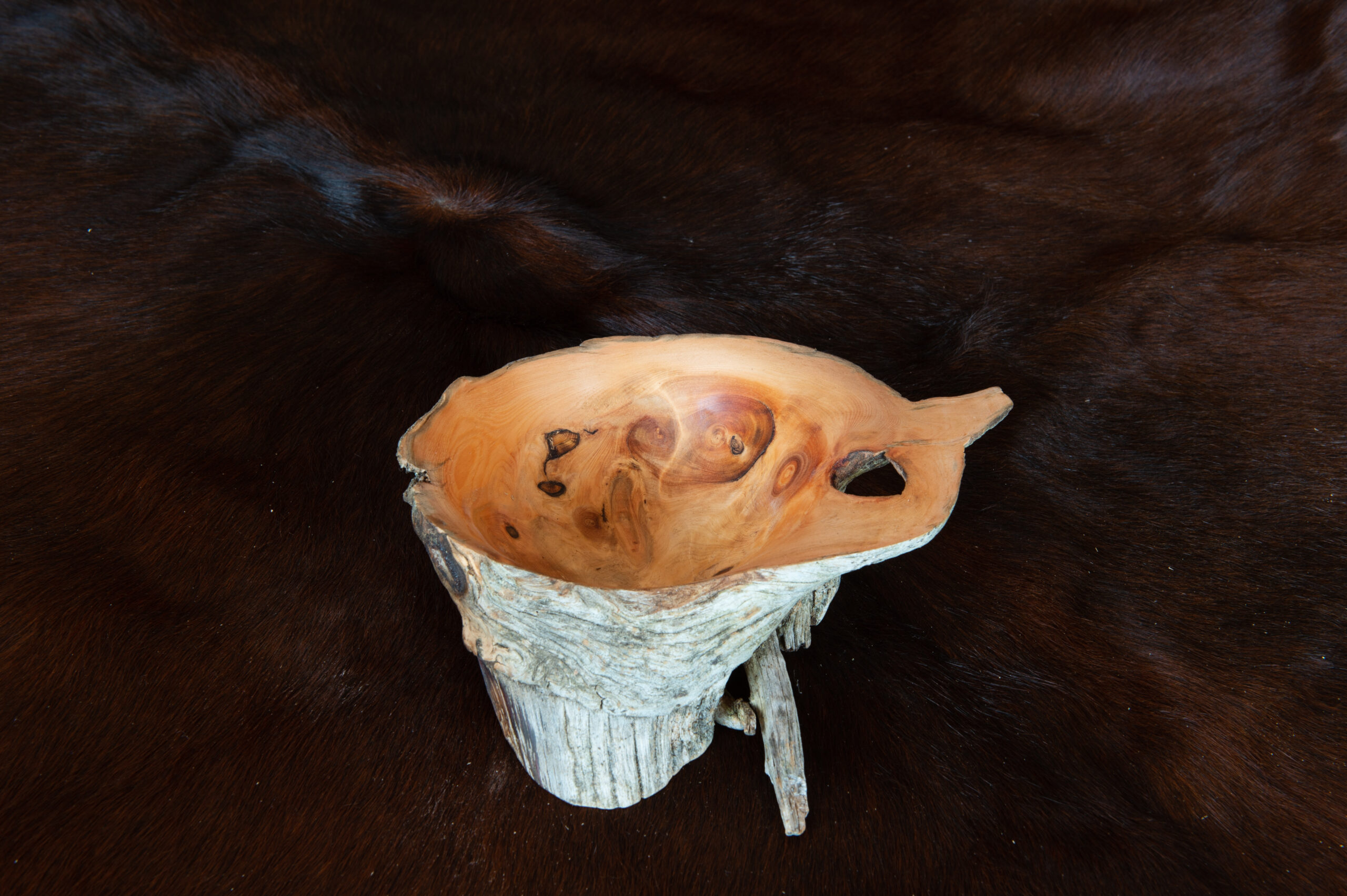 Leos_Werke (15 von 61)