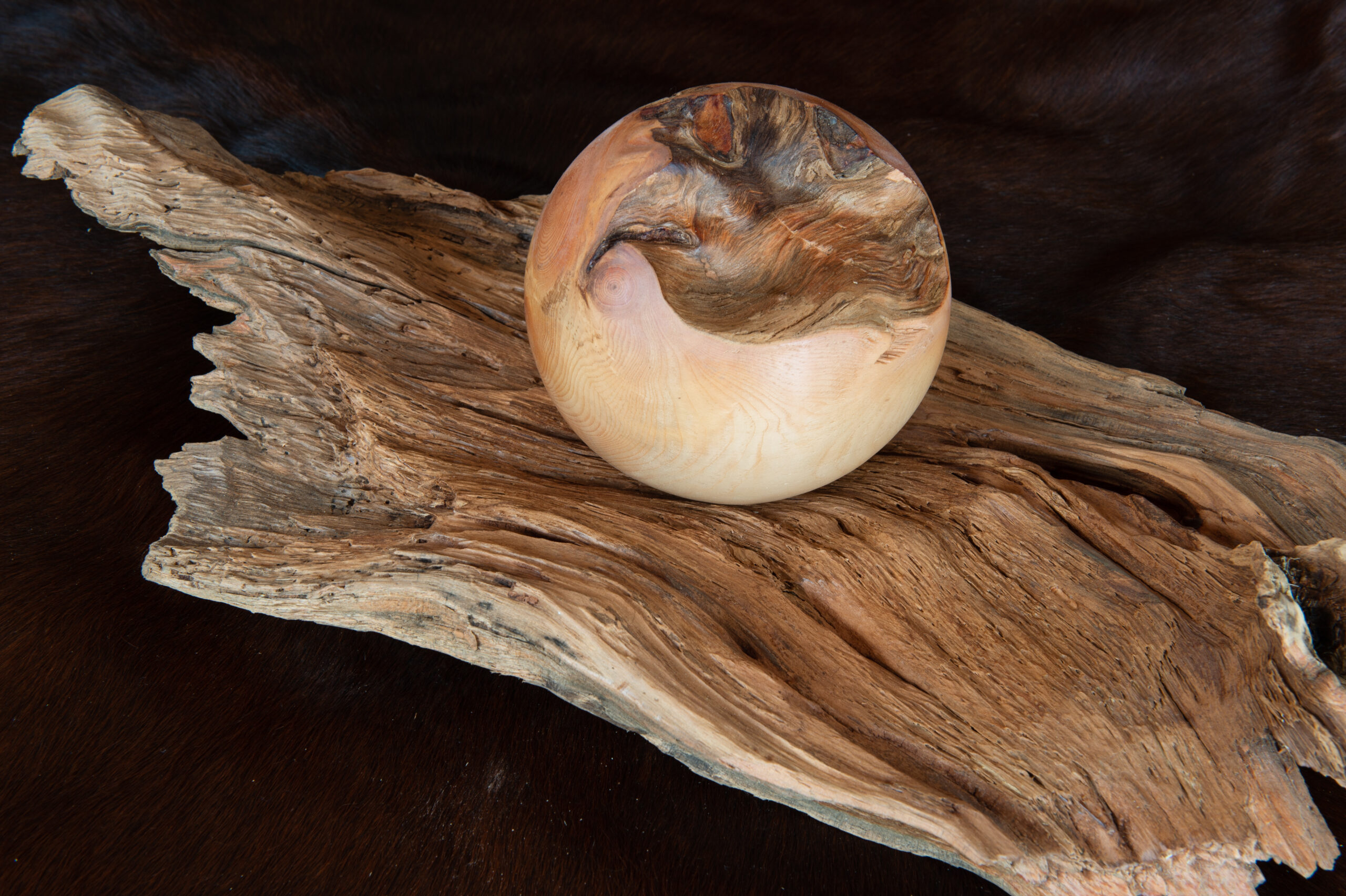 Leos_Werke (16 von 61)