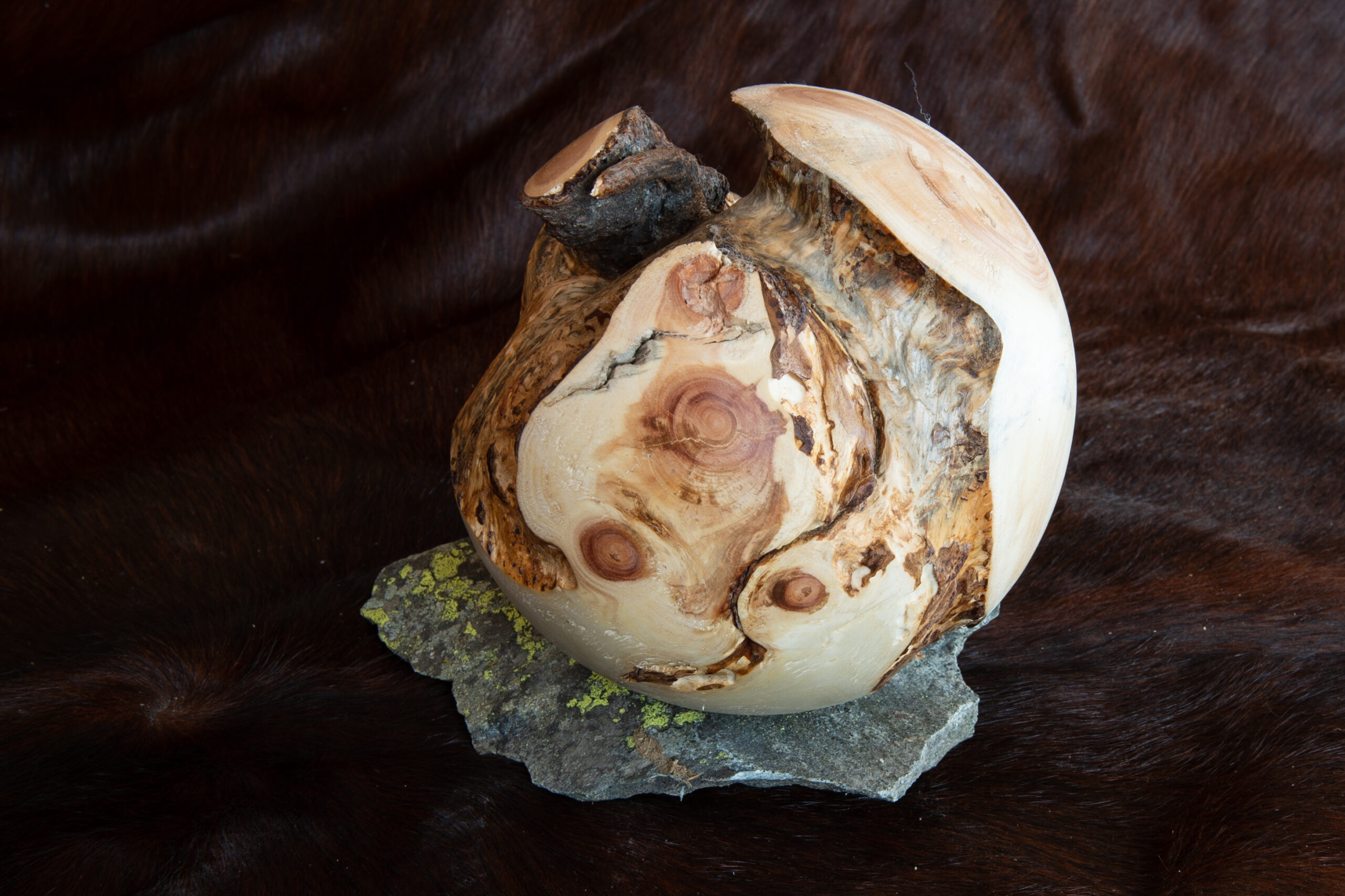 Leos_Werke (23 von 61)