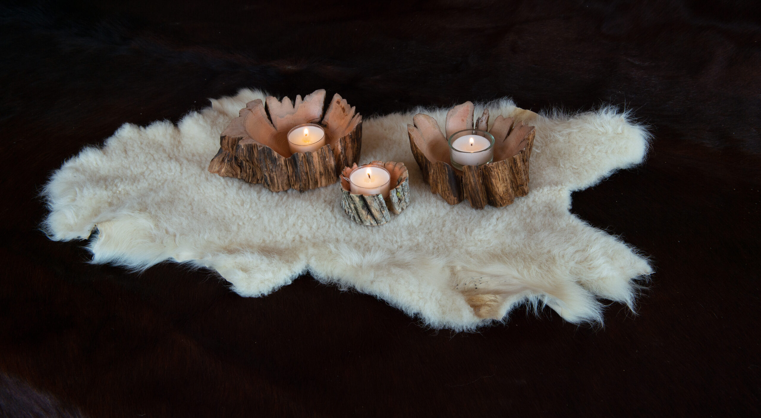 Leos_Werke (29 von 61)