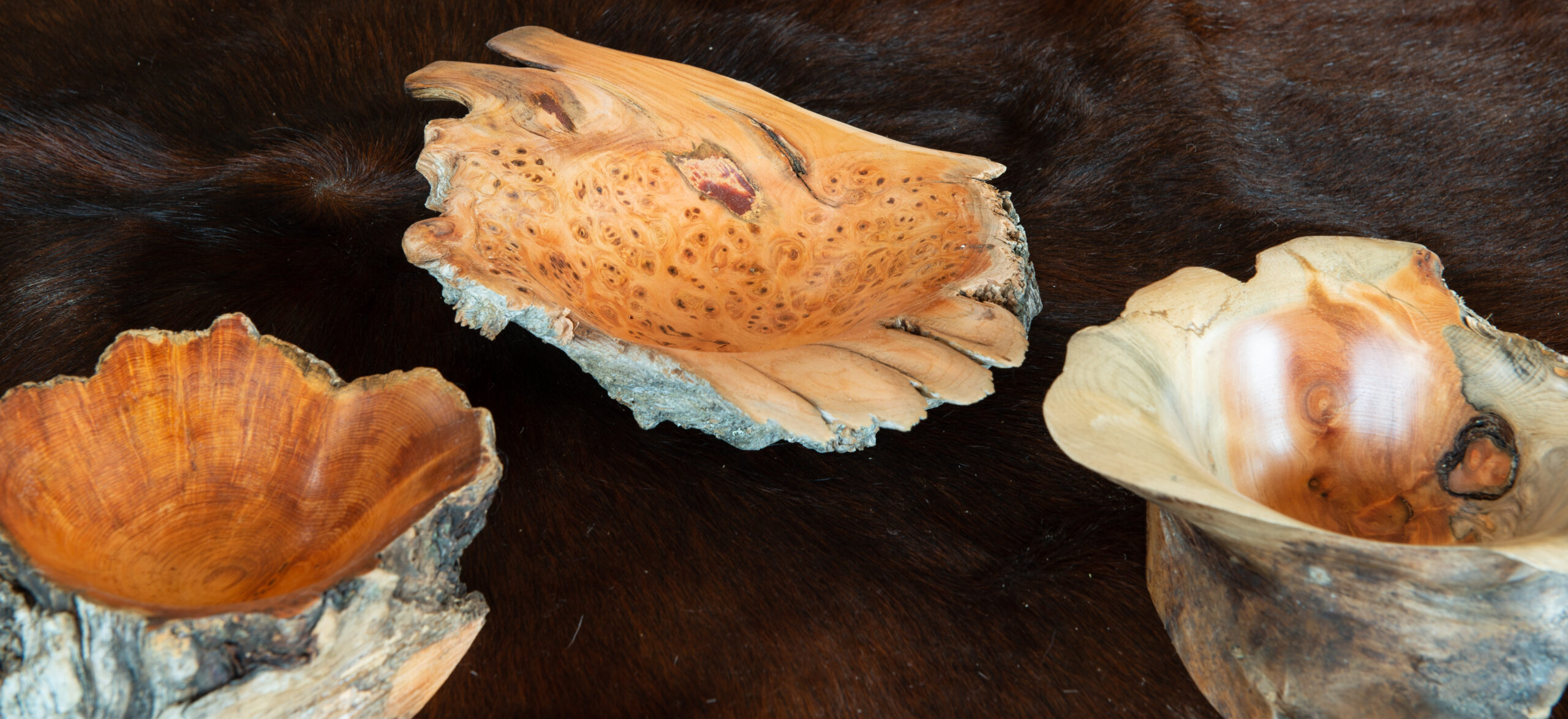 Leos_Werke (33 von 61)