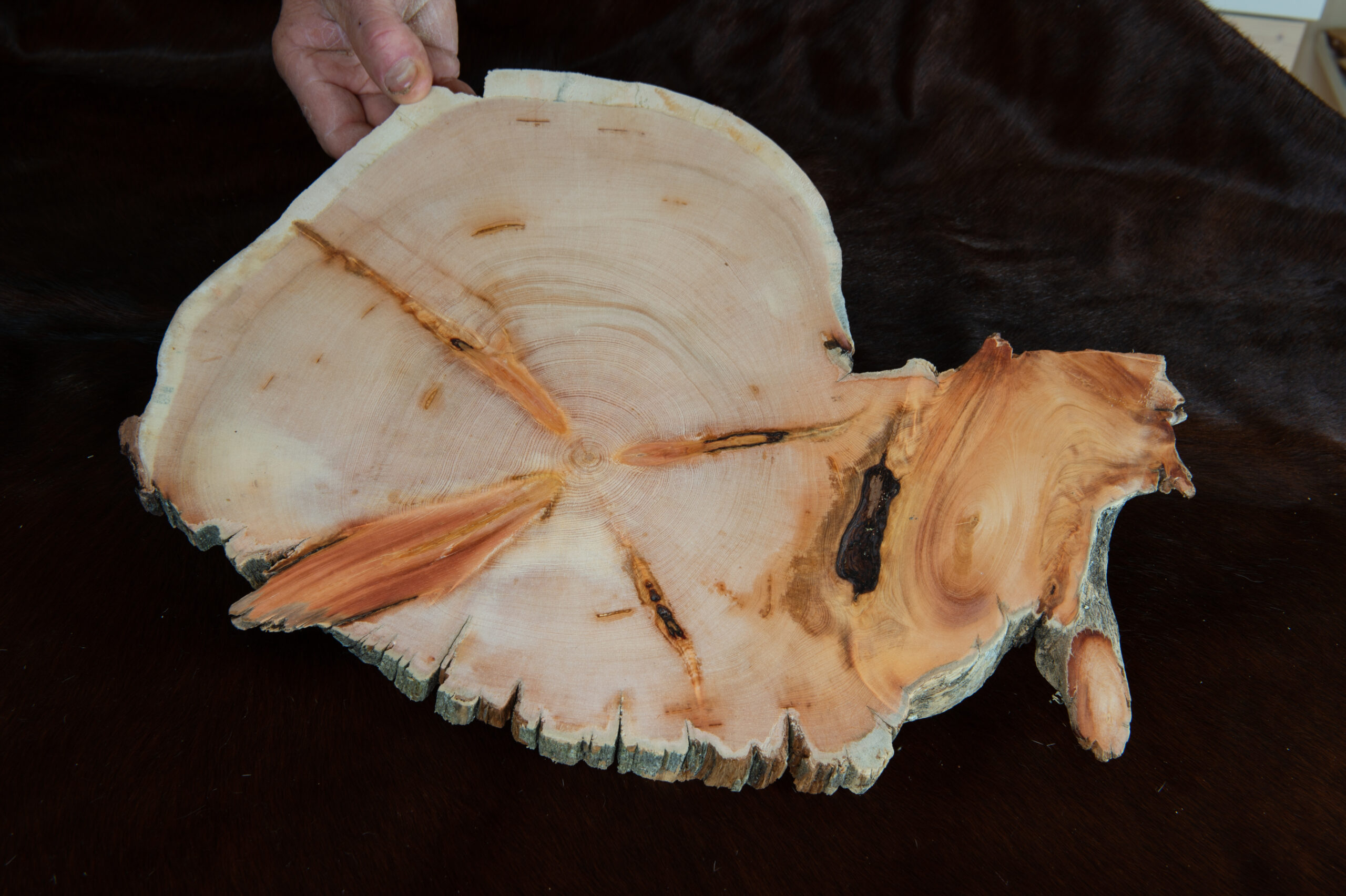 Leos_Werke (37 von 61)