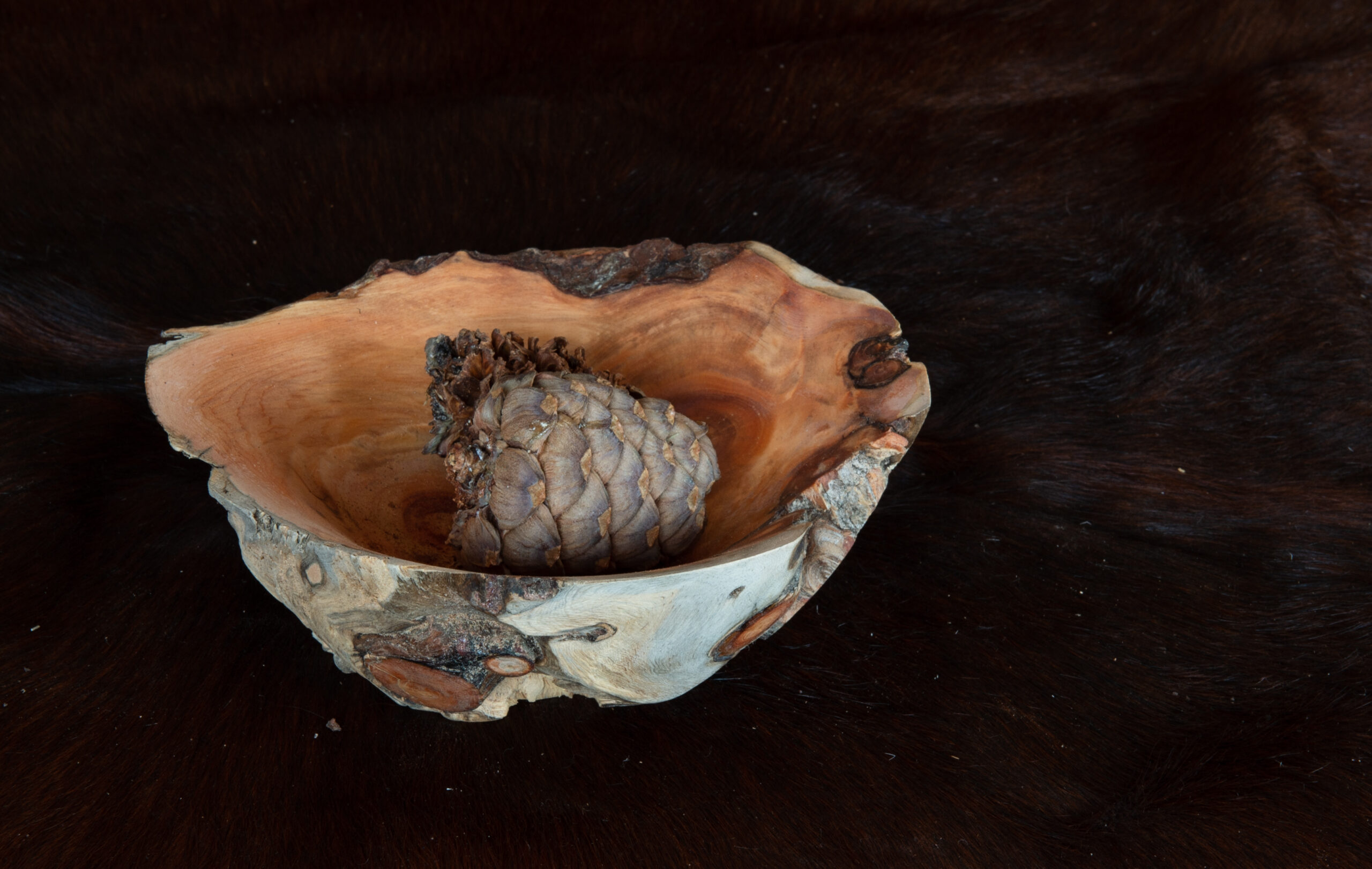 Leos_Werke (39 von 61)