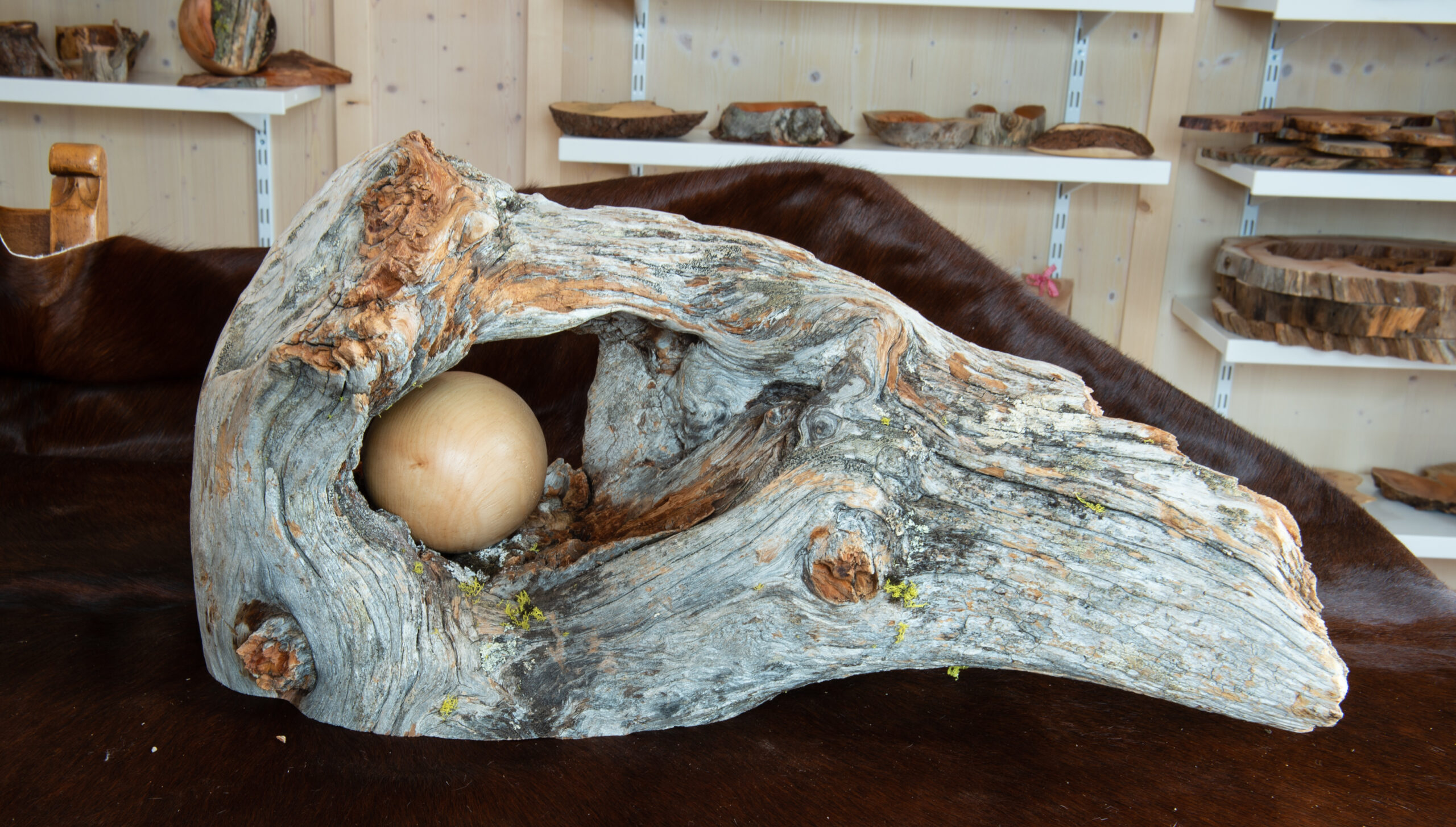 Leos_Werke (42 von 61)