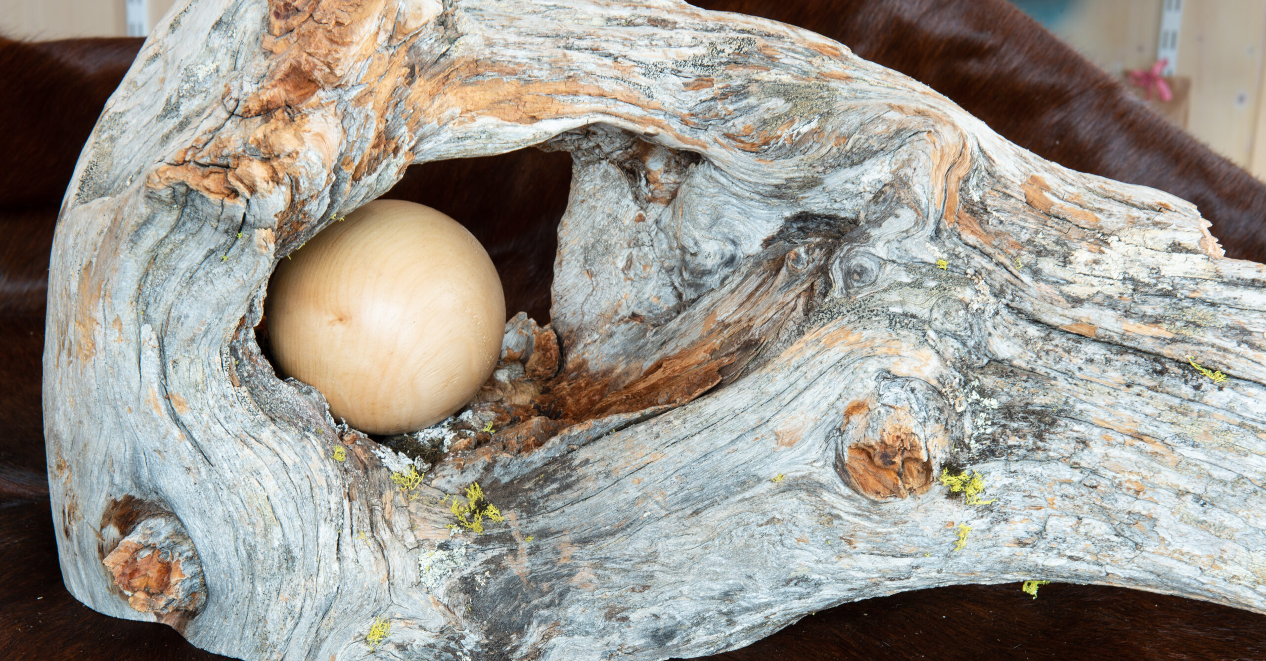 Leos_Werke (43 von 61)