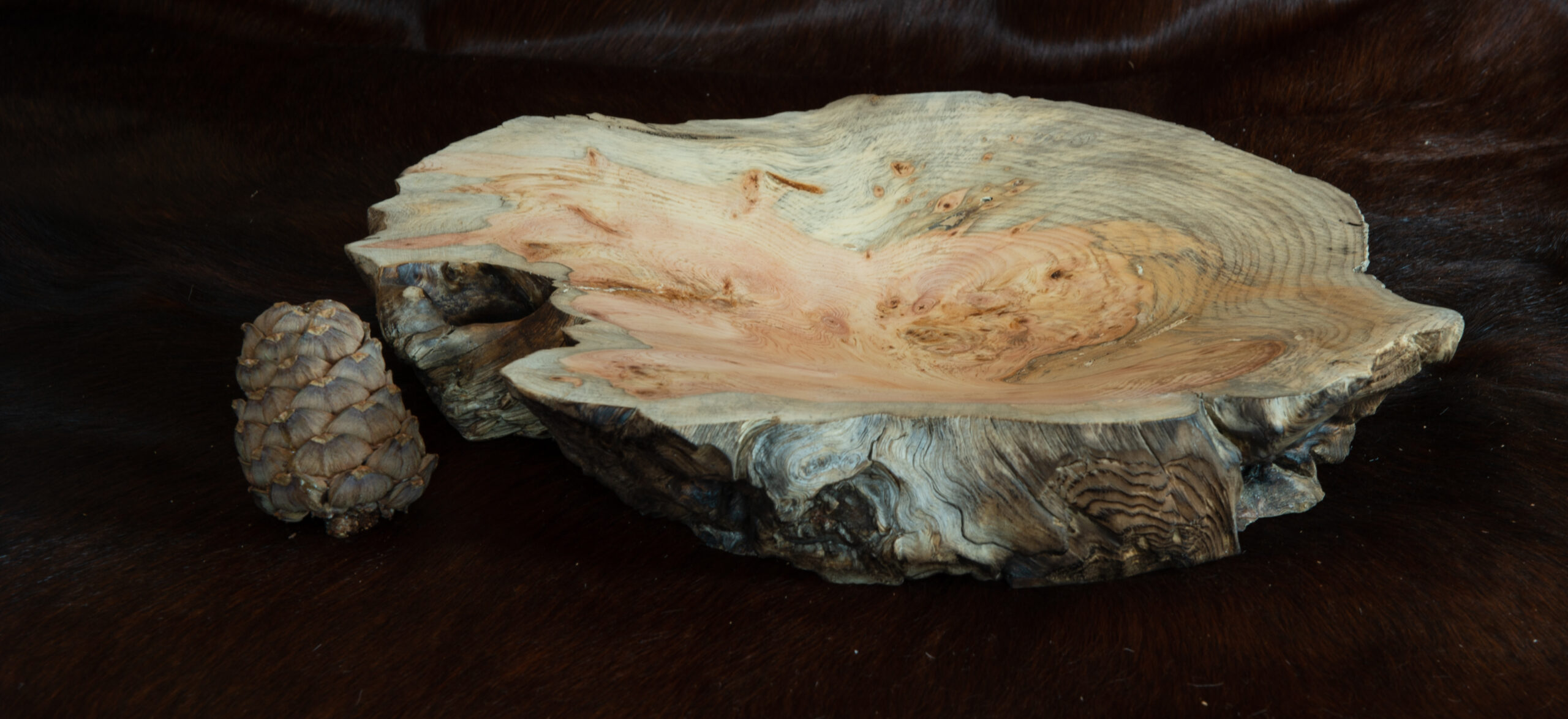 Leos_Werke (46 von 61)