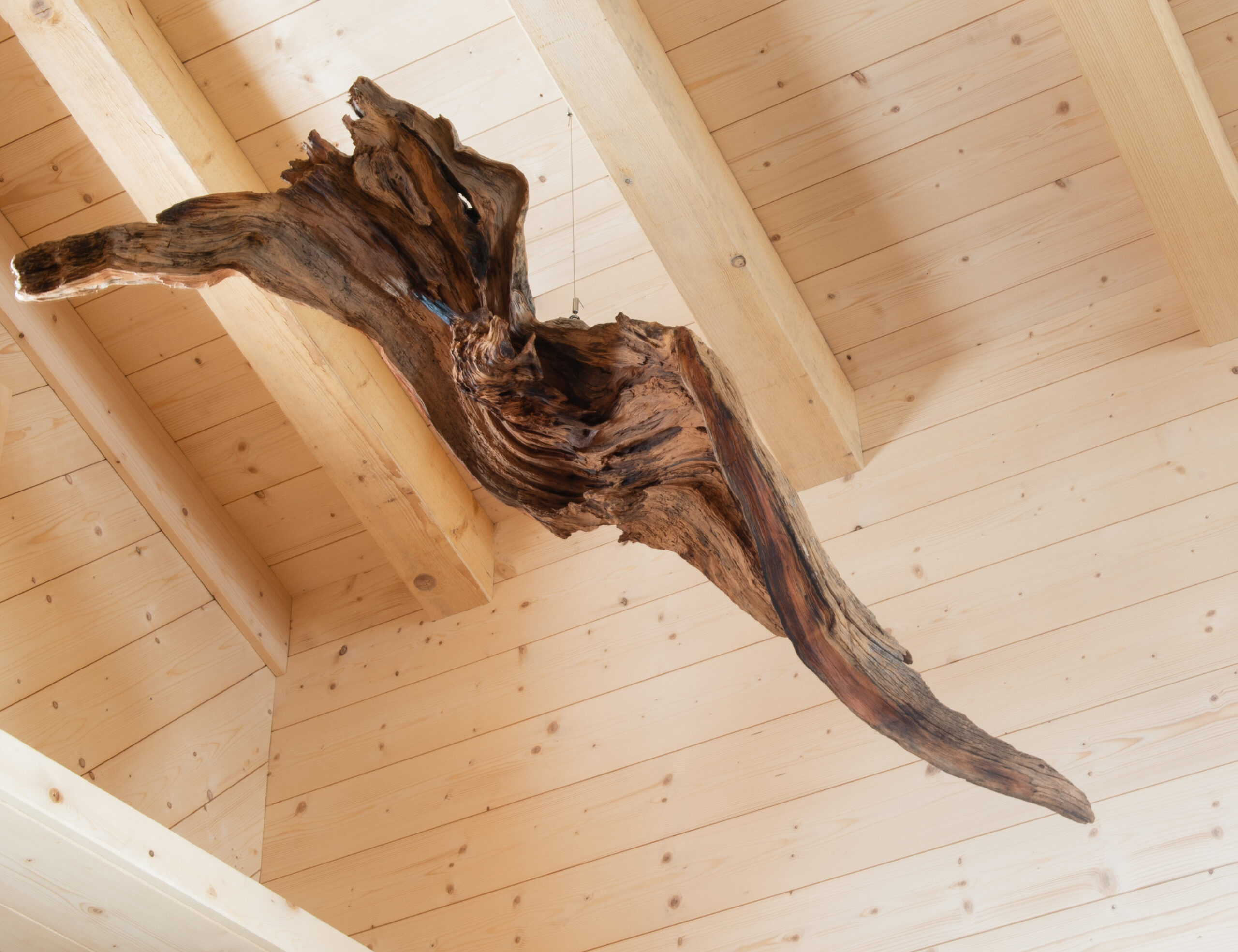 Leos_Werke (47 von 61)