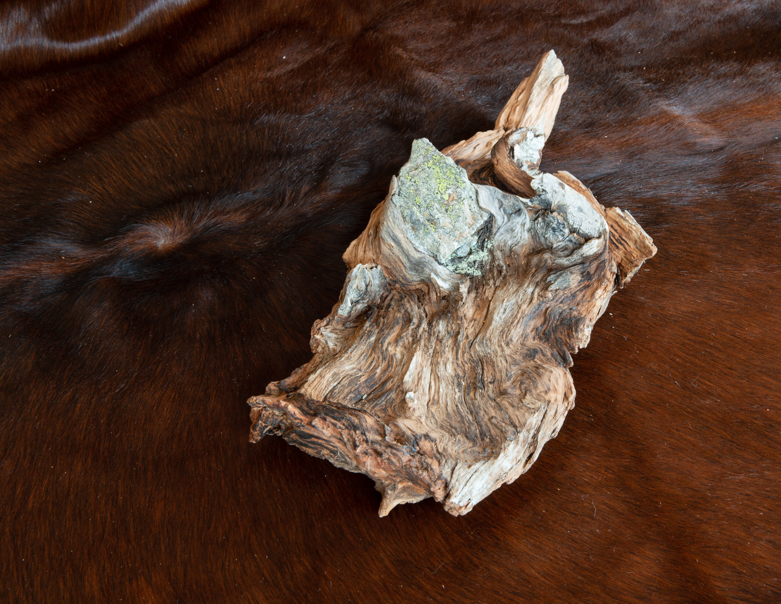 Leos_Werke (53 von 61)