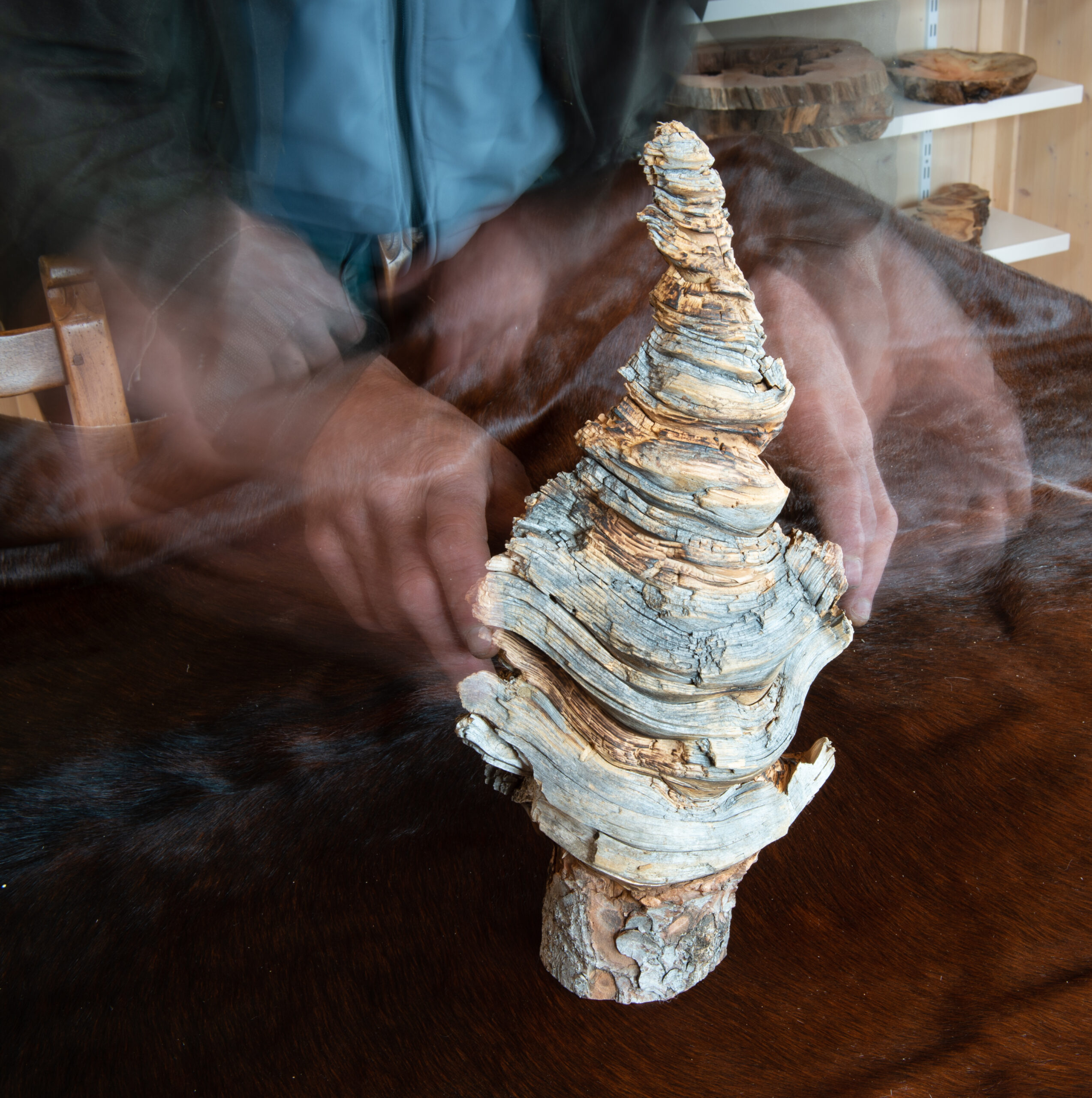 Leos_Werke (54 von 61)