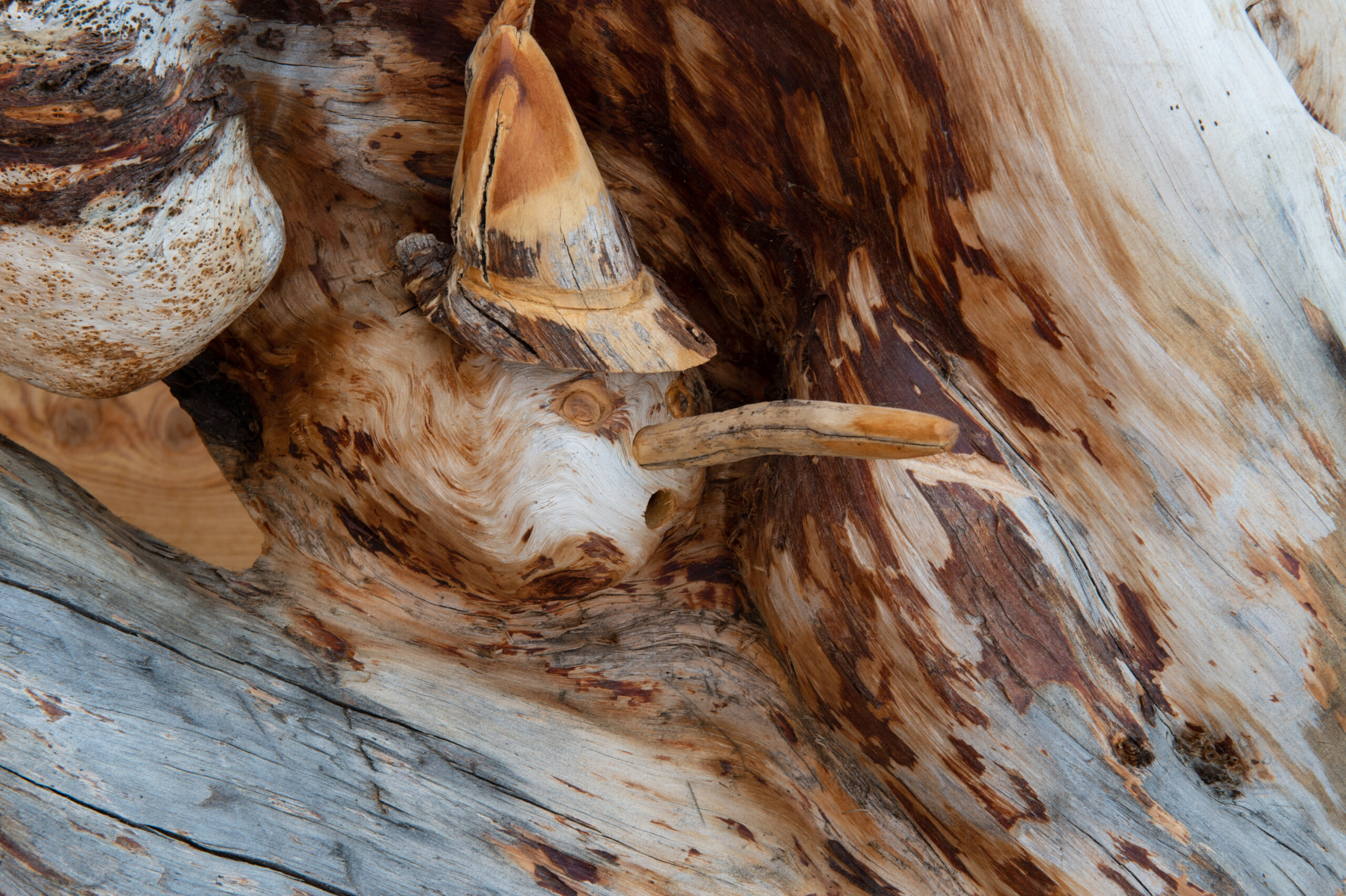 Leos_Werke (55 von 61)