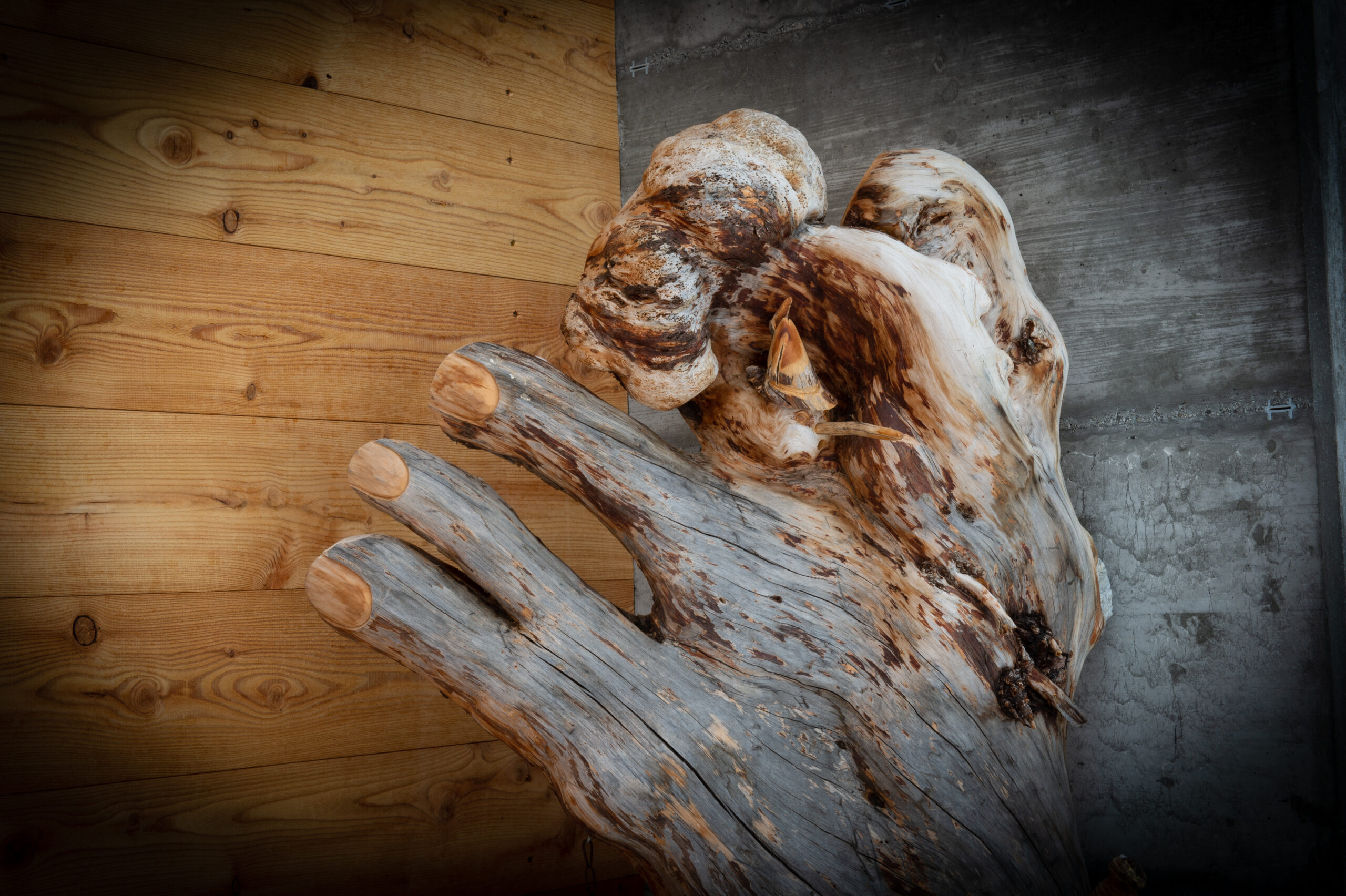 Leos_Werke (56 von 61)