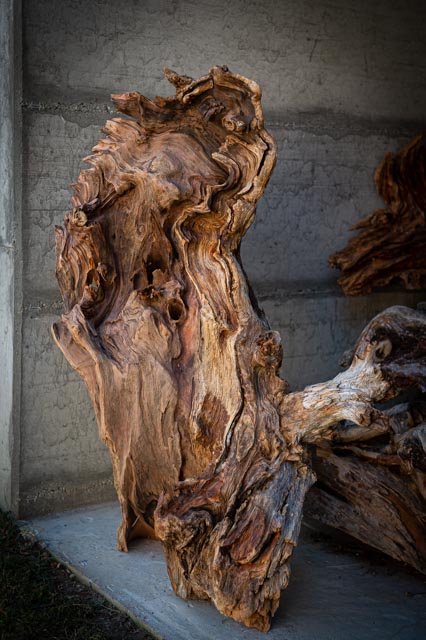 Leos_Werke 2022 (21 von 93)