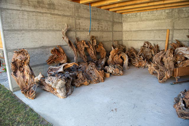 Leos_Werke 2022 (28 von 93)