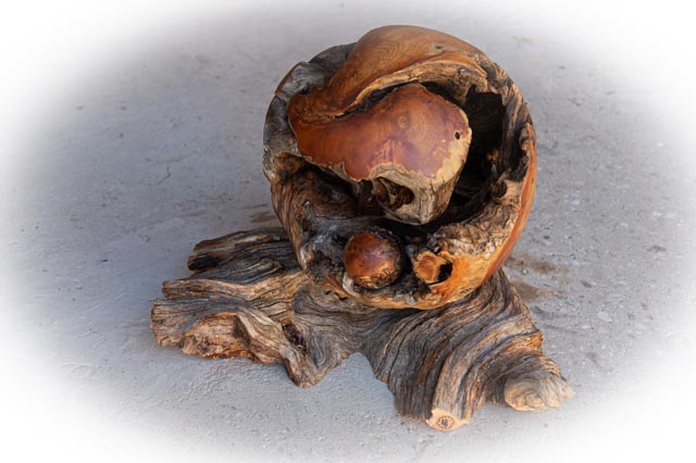 Leos_Werke 2022 (3 von 93)