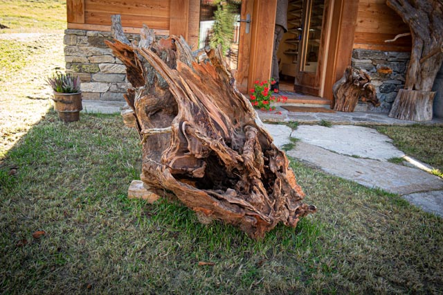 Leos_Werke 2022 (64 von 93)